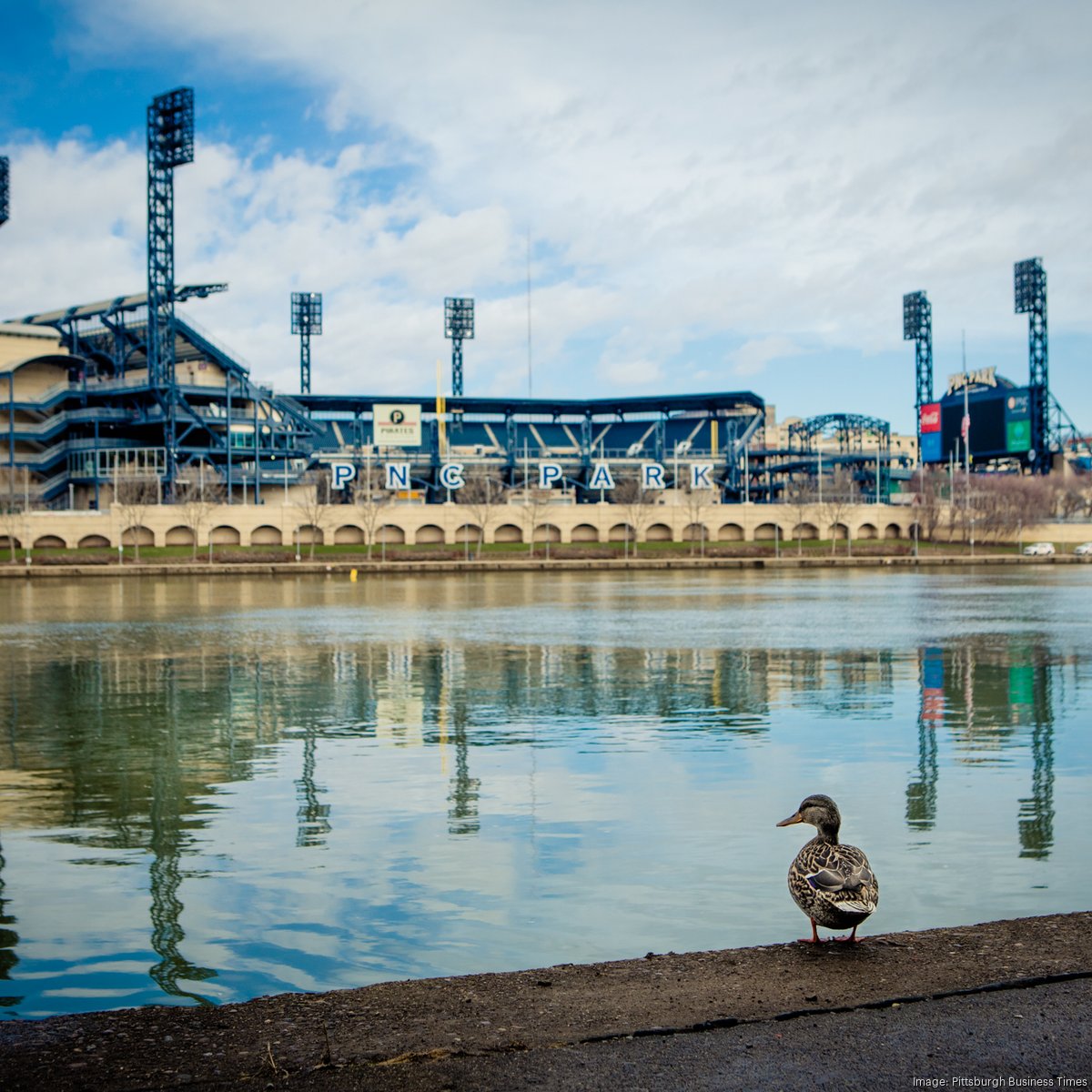 Pittsburgh Pirates - Happy National Bird Day to our favorite bird