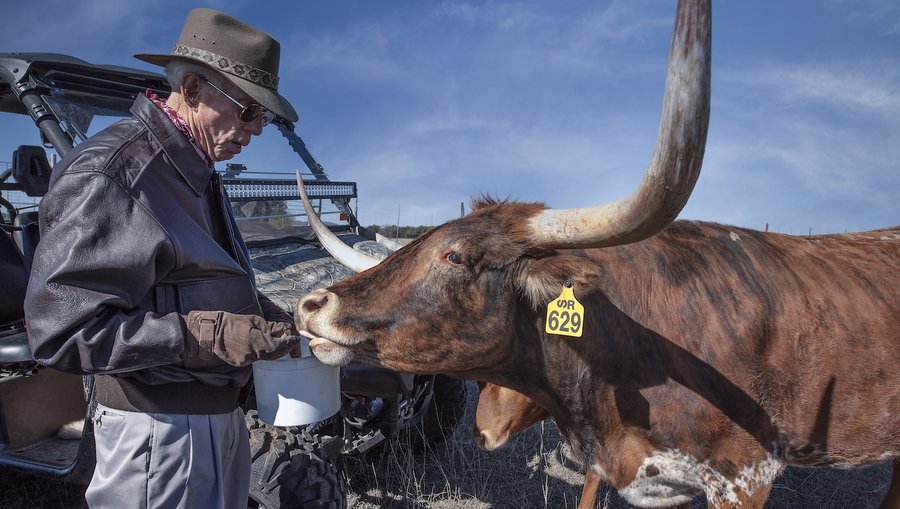 Ruxton Ranch South Texas rancher profile: Bandera’s Buxton ranches - San Antonio ...