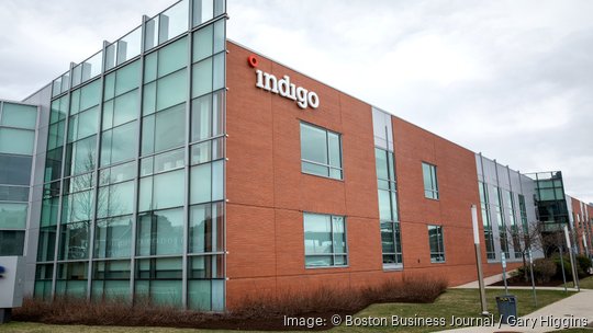 Indigo Ag