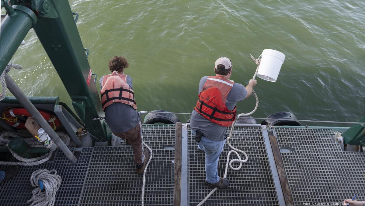 State Plans Cleanup Of Piney Point In Manatee County - Tampa Bay ...