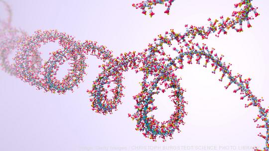 Ribonucleic acid chain , illustration