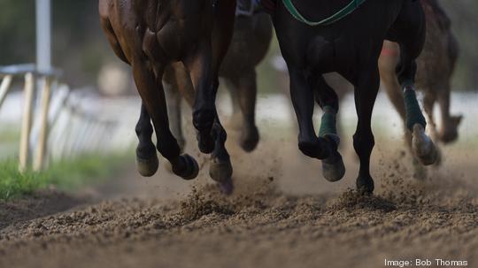 Horse Racing detail, hooves on all weather track