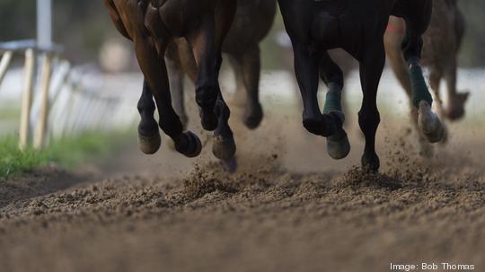 Horse Racing detail, hooves on all weather track