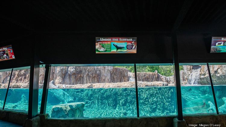 Milwaukee County Zoological Gardens Dohmen Family Foundation Hippo