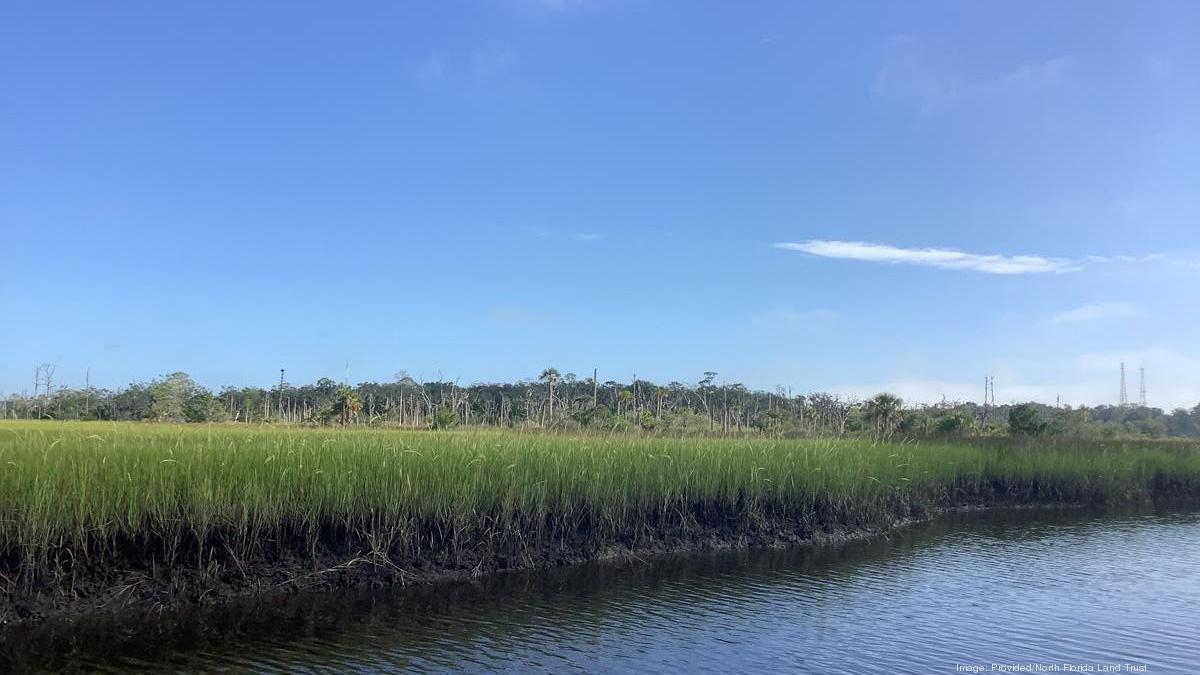 North Florida Land Trust to help conserve and restore salt marsh