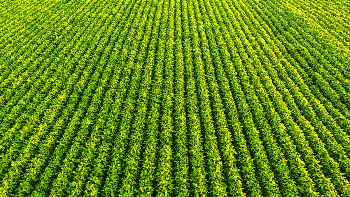 The next class of crop protection products could come out of an RTP lab - Triangle Business Journal
