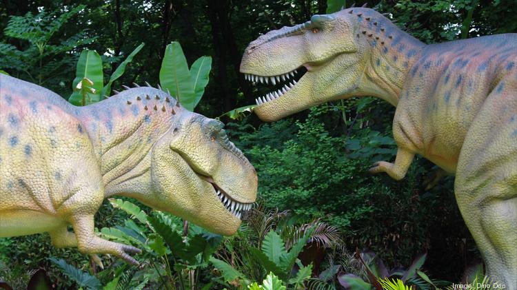 Dino Don Says Deal With Shark Tank S Mark Cuban Has Been A Great Partnership Philadelphia Business Journal Dino Don Says Deal With Shark Tank S Mark Cuban Has Been A Great Partnership Philadelphia Business Journal