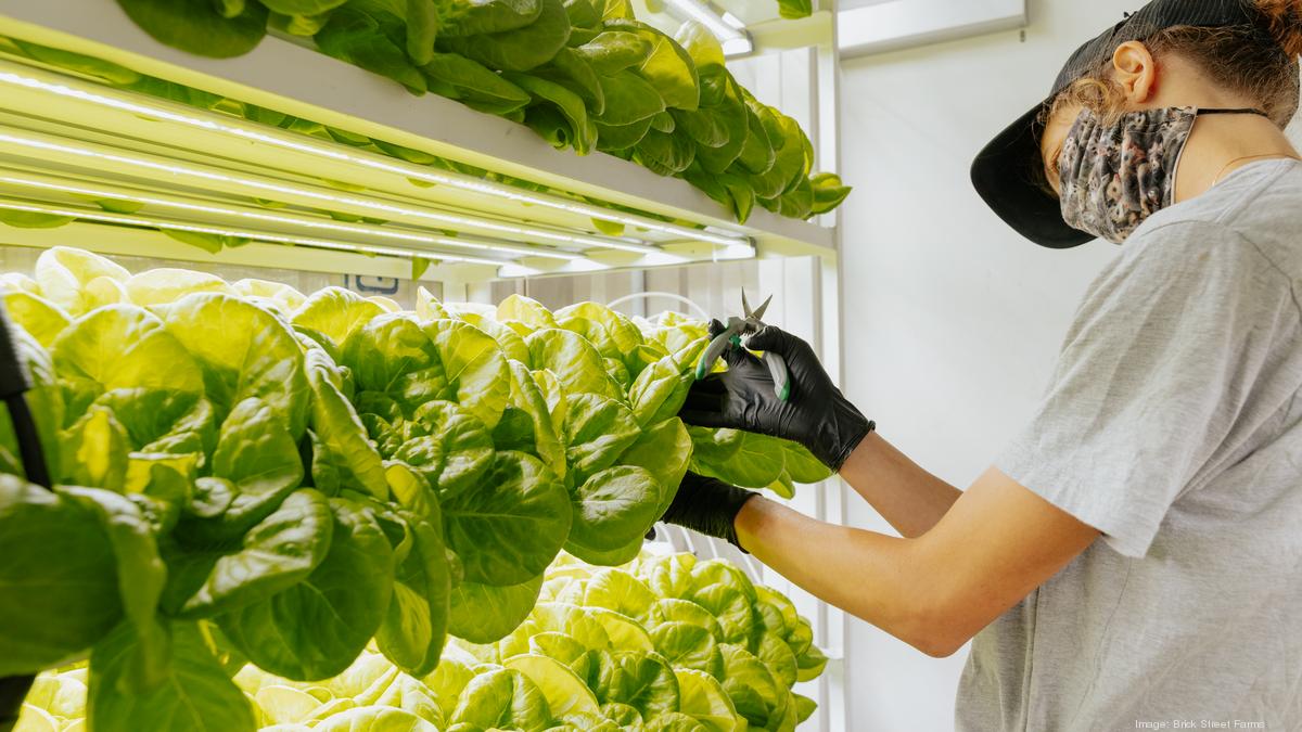 St. Pete's Brick Street Farms lands investment from Lykes Bros. Tampa