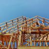 Canadian developer expands footprint with acquisition of Charlotte homebuilder