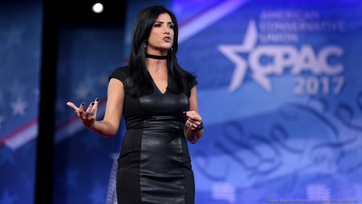 dana loesch calls for universal database