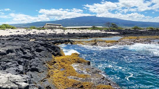 Salt Farm, Sea Salts of Hawaii