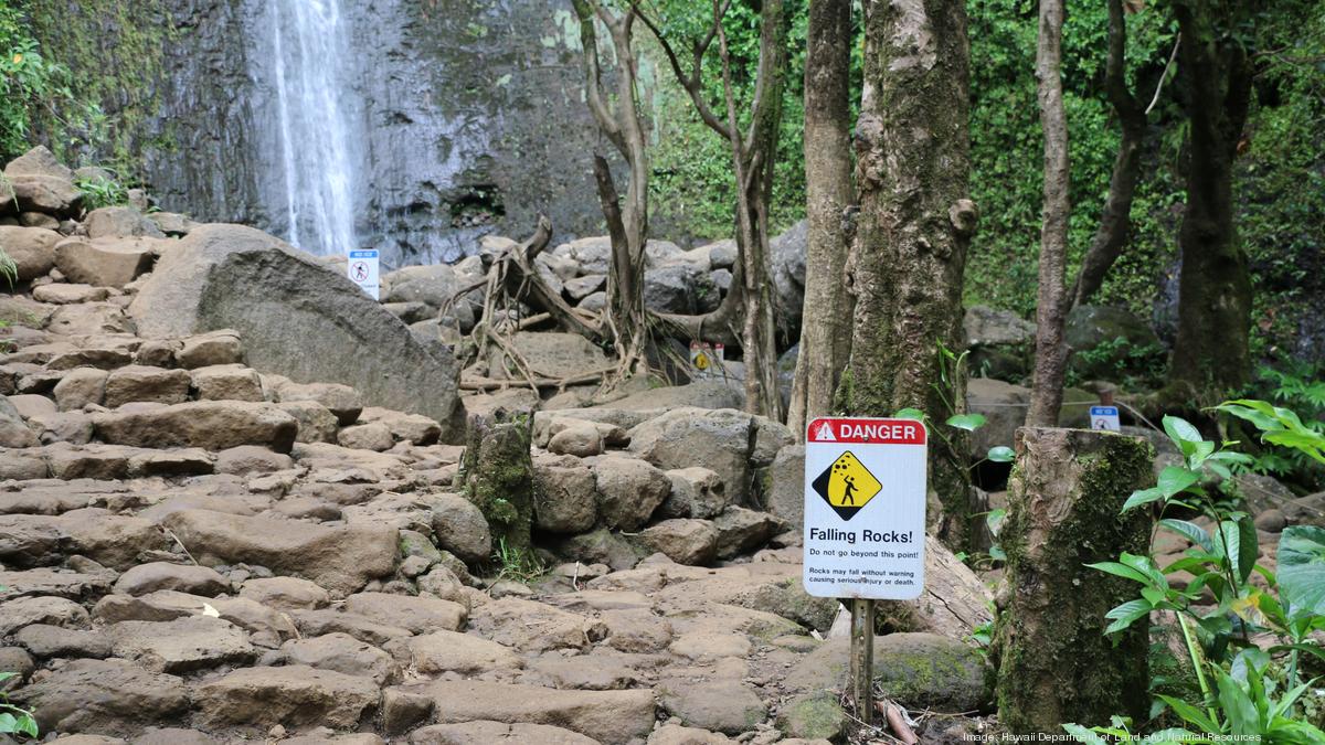 Manoa Falls Trail To Reopen After Safety Renovations Pacific Business   Img2784*1200xx5472 3078 0 285 