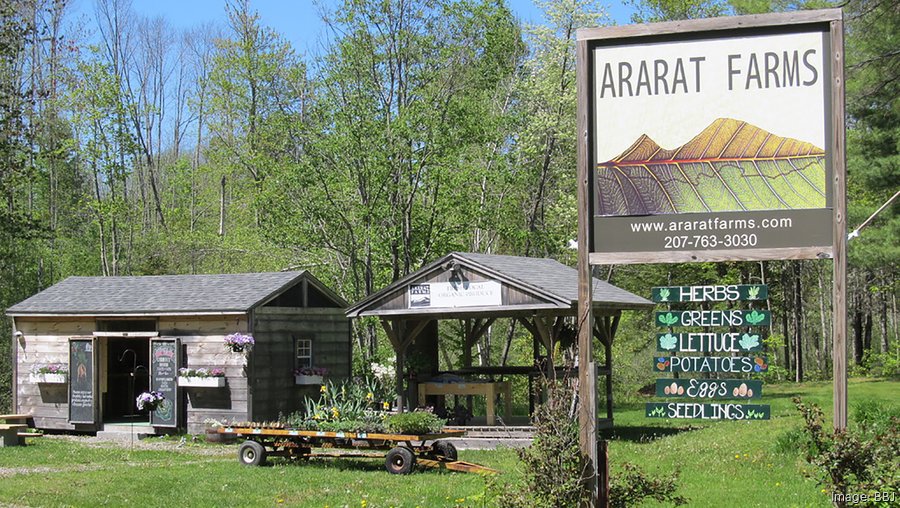 CEO Garo Armen of biotech Agenus proposed a gun and weapons shop in