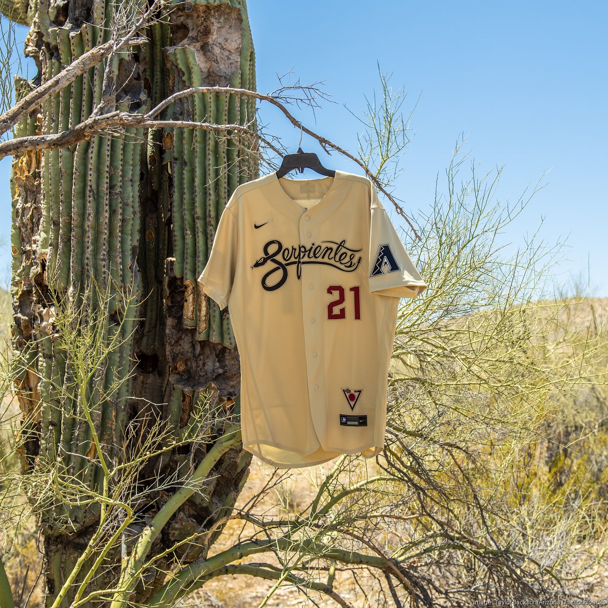 New Arizona Diamondbacks jersey embodies Arizona culture and people -  Phoenix Business Journal