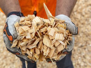 Lumber wood chips