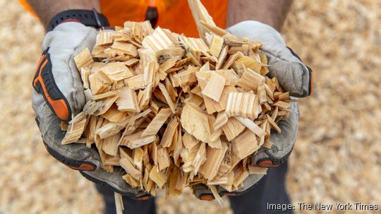 Lumber wood chips