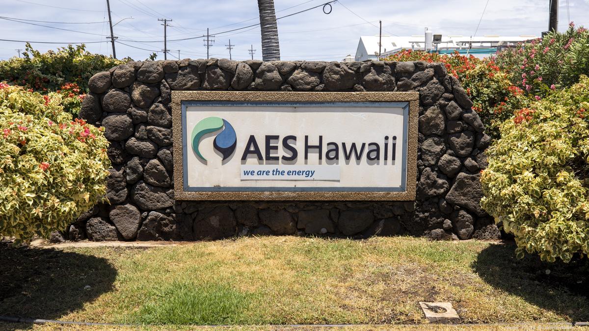 Hawaii lawmakers, stakeholders weigh in on biomass proposal for AES