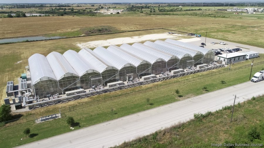 Eden Green Technology to grow with new vertical greenhouses