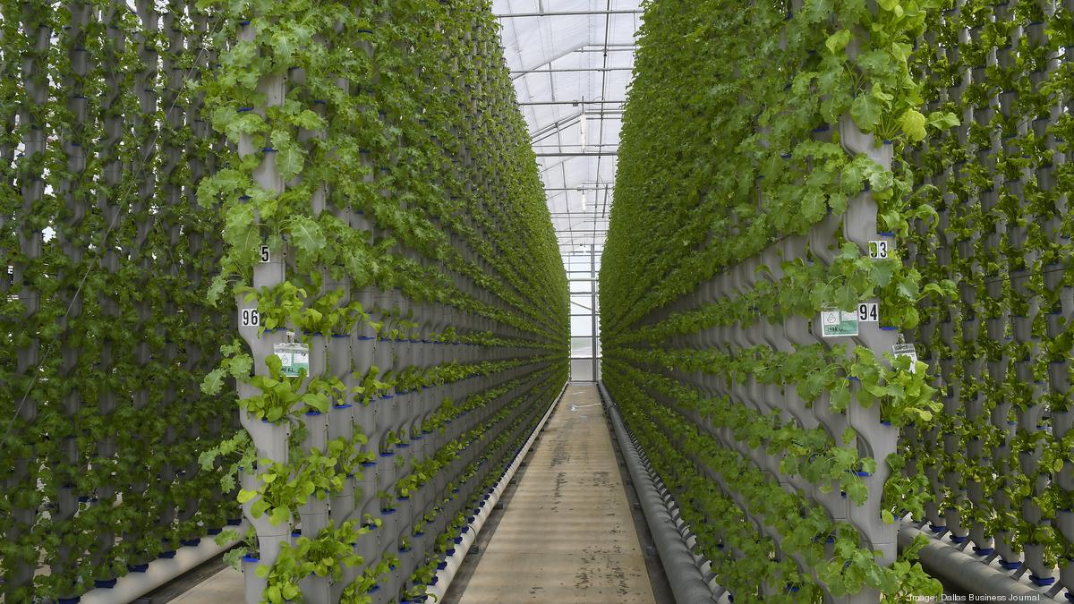 Eden Green Technology opens new vertical greenhouse in Cleburne