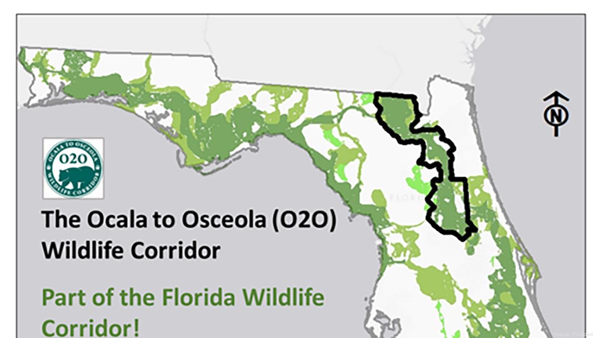 North Florida Land Trust expects to play role in $400 million ...