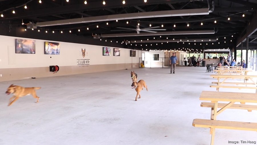 Club K9 debuts dog park bar in Jeffersontown - Louisville Business