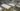 Industrial market sets new records as Amazon, Celestica sign 1 million-square-foot leases