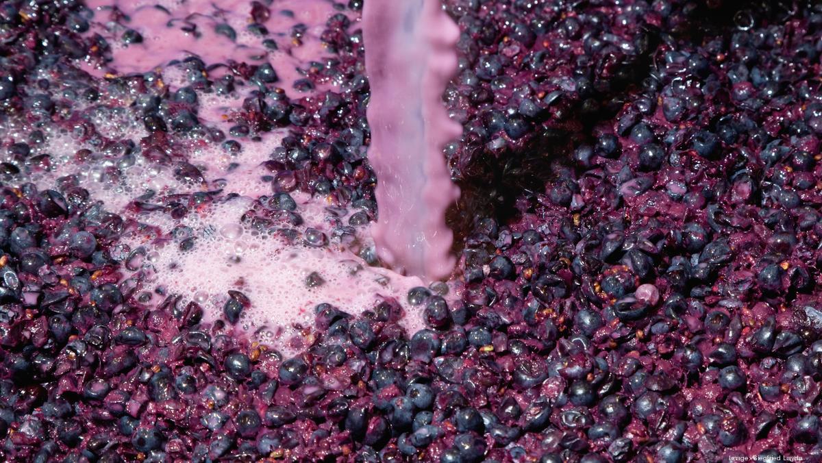 Corus Estates & Vineyards in Dundee fined in the death of a winery