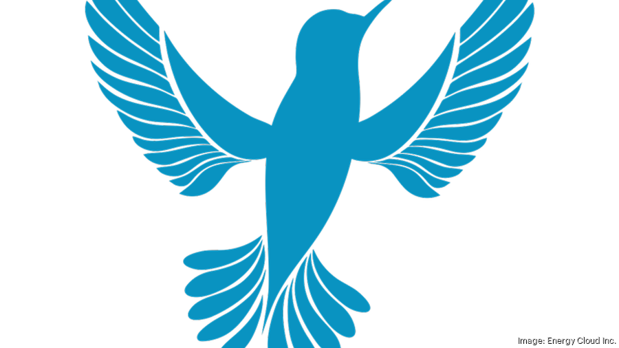 Hummingbird EQ Logo