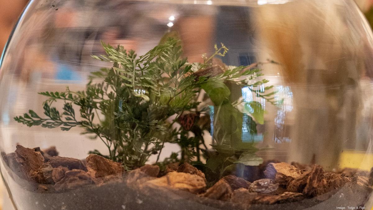 Twigs & Figs opens in Ballantyne Charlotte Business Journal