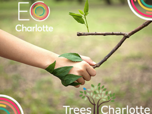 The tree canopy of Charlotte – Planting for the future