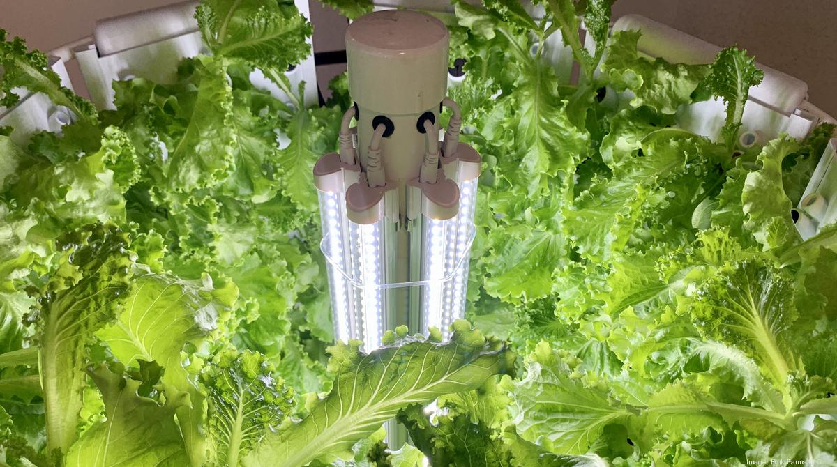 Green Bay's Fork Farms raises 2 million for new market expansion and