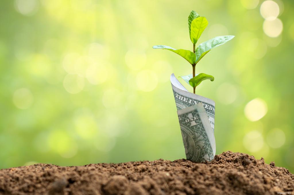 La regeneración del suelo: clave para un futuro agrícola sostenible