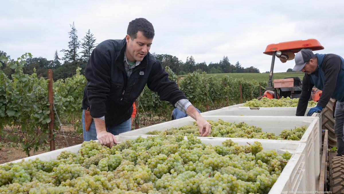 Willamette Valley Vineyards Hires Greg Urmini As Director Of Winemaking Vineyards Portland 2202