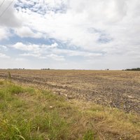 Developer mulls 3 different pathways for 372-acre Hutto project