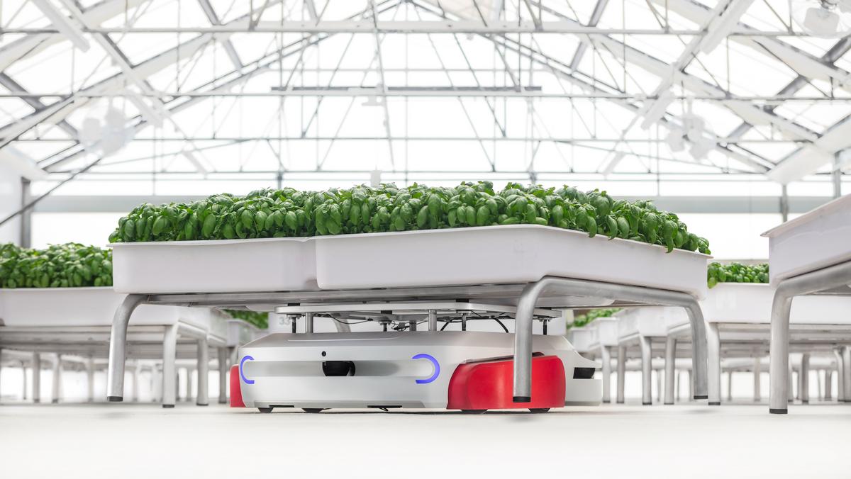 Lockhart targets key areas for new economic development Austin Business Journal