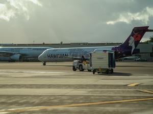 Hawaiian Airlines cargo crew