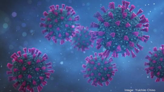 Coronavirus background