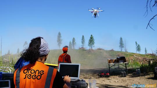 Pacific Inno - Young Hawaii engineer uses drone technology to replant  forests