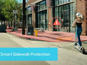 Bird-Smart-Sidewalk-Protection