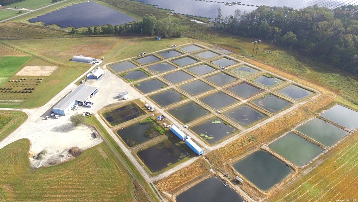 SePRO adding jobs in Rocky Mount with 3.5M expansion Triangle