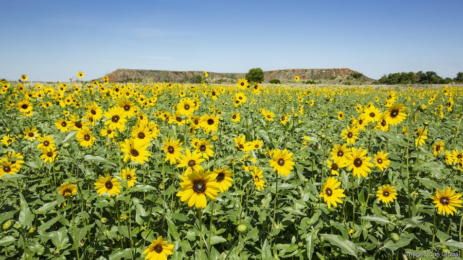 80,000-acre Turkey Track Ranch, ‘Oasis of the Panhandle,' hits market ...
