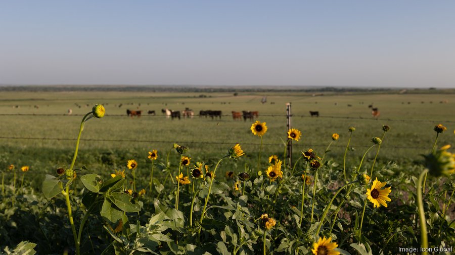 80,000-acre Turkey Track Ranch, ‘Oasis of the Panhandle,' hits market ...