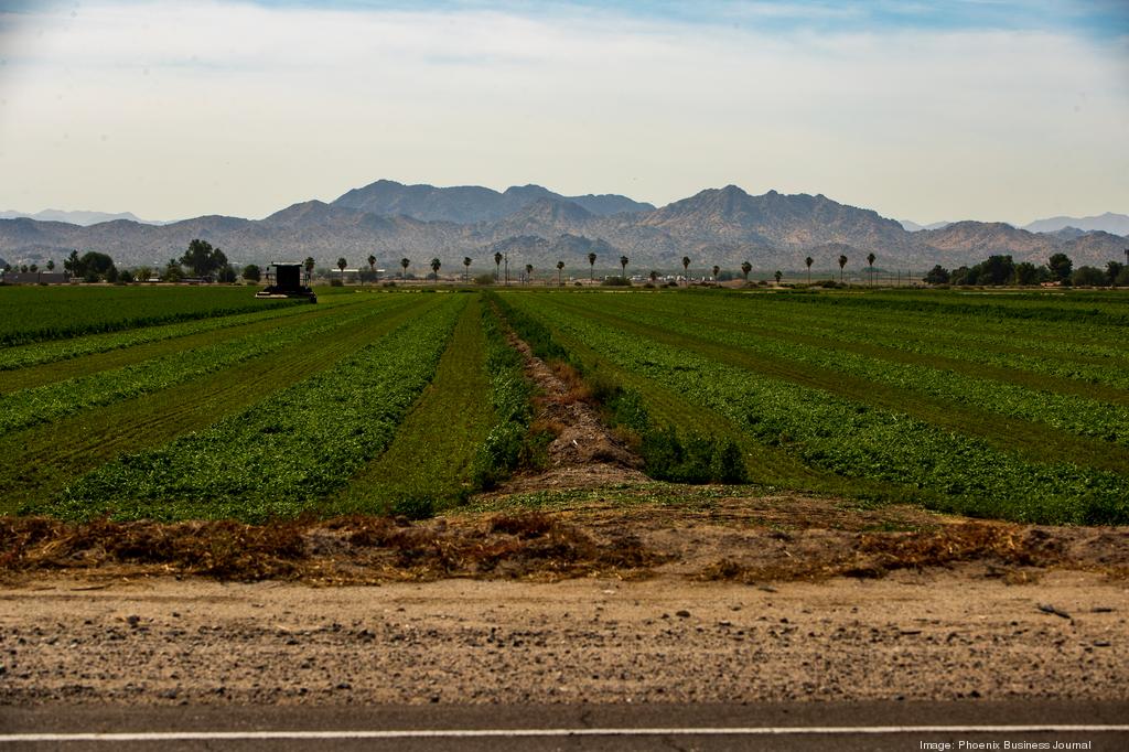 Buckeye Arizona