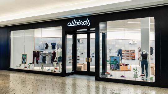 Allbirds Denver Store