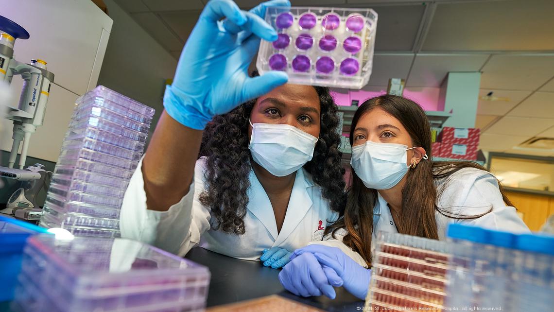 Memphis Inno St. Jude lab team developing improved seasonal flu and