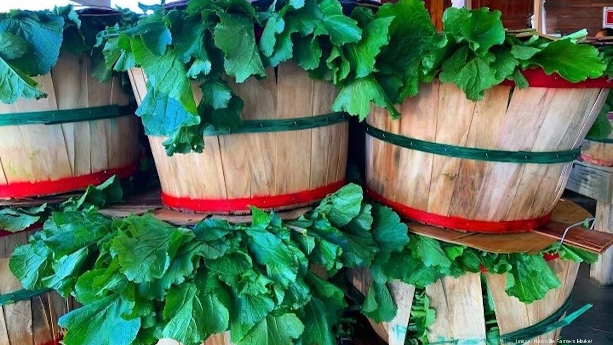 Chef Tandy Wilson partnering with Turnip Green Festival Nashville