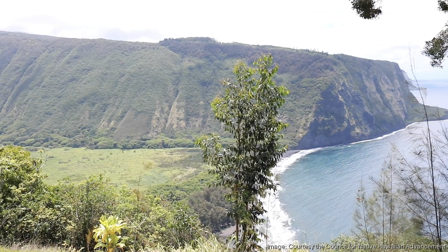 Council for Native Hawaiian Advancement opens applications for KuHana ...