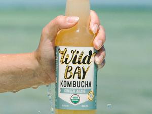 Wild Bay Kombucha ginger agave