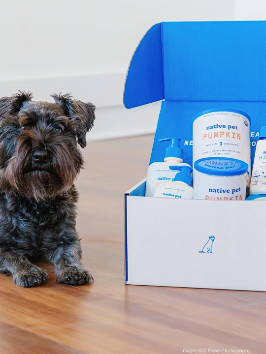 Schnauzer with Products