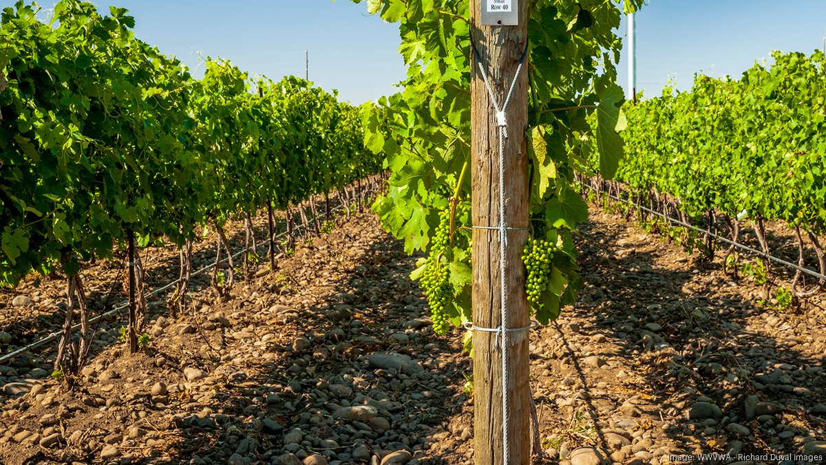 the-rocks-district-of-milton-freewater-p